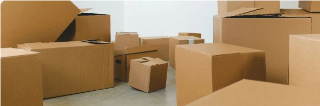 1700462437115229.png image.png