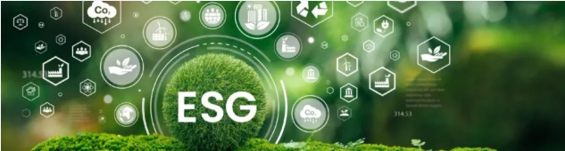 1747636092202683.png image.png